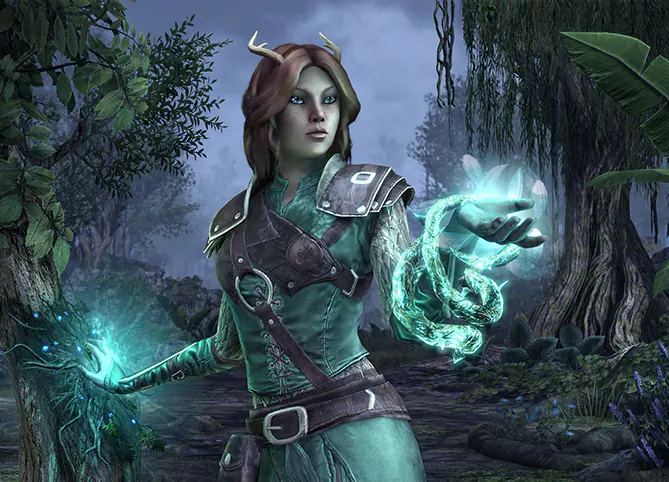 Gardien - Builds DPS PvE ESO